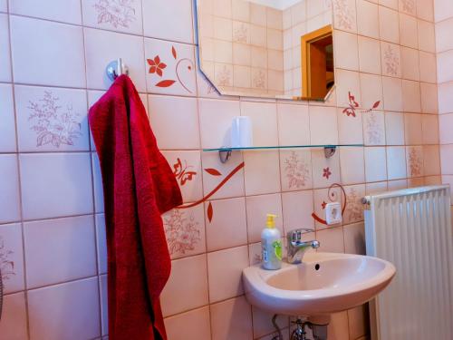 a bathroom with a sink and a red towel at Gemütliche FeWo am Hülfensberg und dem Grünen Band in Döringsdorf