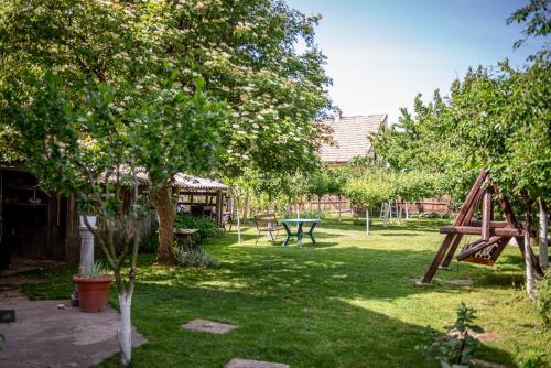 a garden with a picnic table and a swing set at Casa Murgulet in Drăgăşani