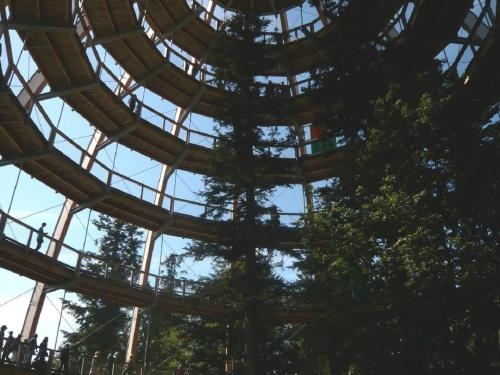 Ferienwohnungen Haus Paradies – Photos 4