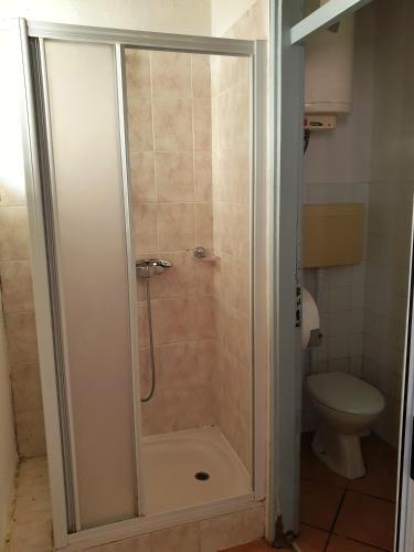 a shower in a bathroom with a toilet at Family Bungalow Pineta in Novigrad Istria