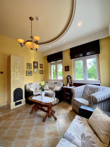 a living room with a couch and a fireplace at Villa Larus in Palić