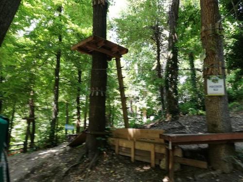 a park bench tied to a tree in the woods at Villa Rico Masseria nel Parco in Caramanico Terme