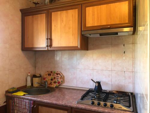 uma cozinha com uma placa de fogão e um lavatório em ValDa Hotel on TUMANYAN em Vanadzor