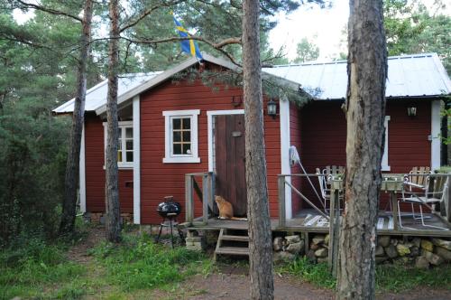 eine rote Hütte im Wald mit einer Katze auf der Veranda in der Unterkunft Nickarve Gård Hejdeby in Visby