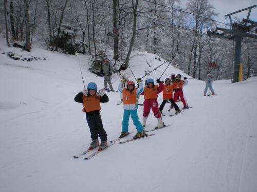 
Attività di sci presso l'hotel o nelle vicinanze
