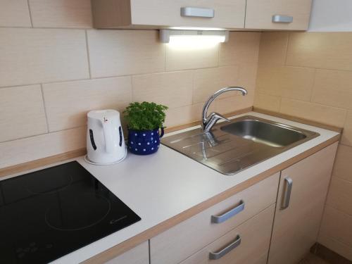 Kuchyň nebo kuchyňský kout v ubytování Apartments Mas