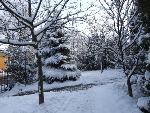 a christmas tree covered in snow in a park at Art Guesthouse in Budapest
