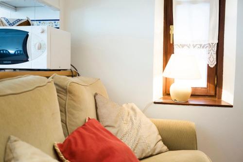 a living room with a couch and a microwave at Txoriak - Basquenjoy in Hondarribia