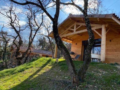 una casa en una colina con un árbol delante en Les Barras’k, en Saint-Péray