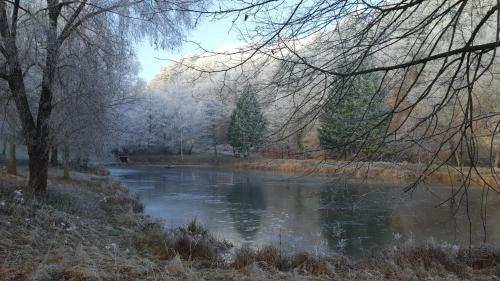 a river in a park with trees and water at Gästehaus Gerhardt in Schweigen-Rechtenbach