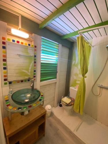 ein Badezimmer mit einem Glaswaschbecken und einer Dusche in der Unterkunft Gites titanse, Le jardin d'Antonin in Cadet
