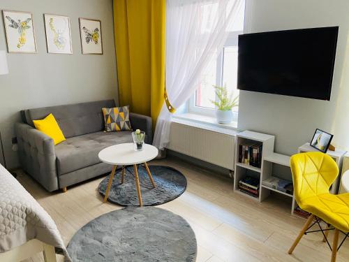 Televízia a/alebo spoločenská miestnosť v ubytovaní Apartament na Starówce III