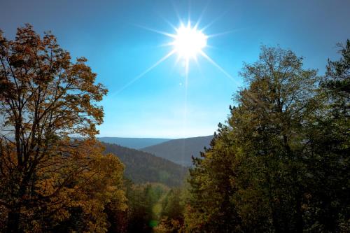 a sun shining in the sky above trees at Stiefelburg Der Berghof in Nauendorf