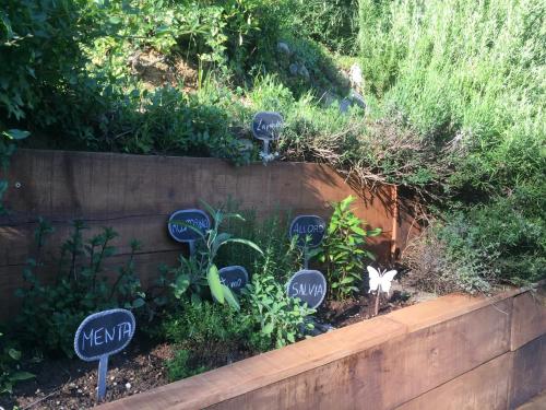 a garden with signs that say mendocino and plants at Chalet Alma in Frabosa Sottana