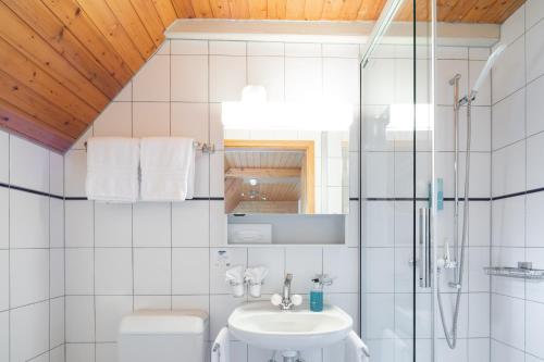 y baño con ducha, lavabo y aseo. en Hotel Lötschberg en Interlaken