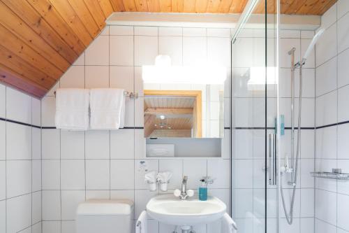 a bathroom with a shower and a sink and a toilet at Hotel Lötschberg in Interlaken