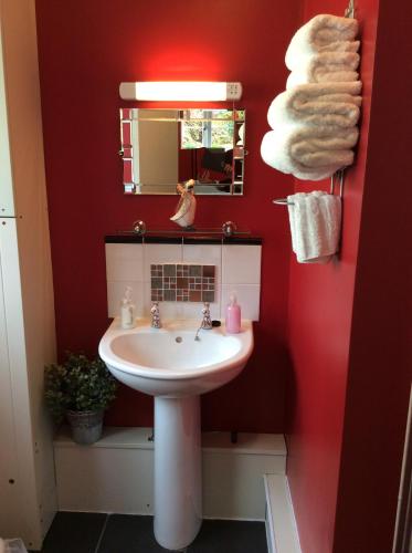 a bathroom with a white sink and a red wall at The Great Grubb in Totnes