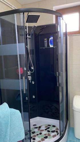 a shower with a glass door in a bathroom at Arician full service in Ocna Şugatag