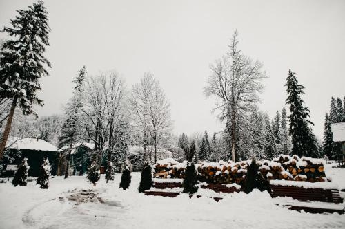 a snow covered yard with a bunch of pears at Pension Rose-Trandafirul in Borsec