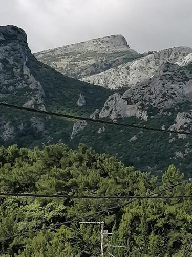 a view of a mountain with trees and power lines at Lefteris Rooms in Kokkari