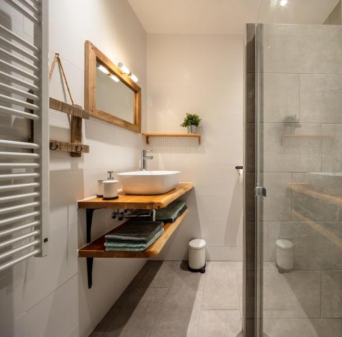 een badkamer met een wastafel en een douche bij Herberg Binnen in Egmond-Binnen