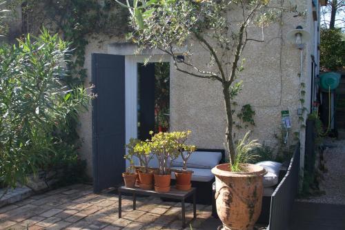 un groupe de plantes en pot sur une table à côté d'une porte dans l'établissement Inn 4 Bears, à Nîmes