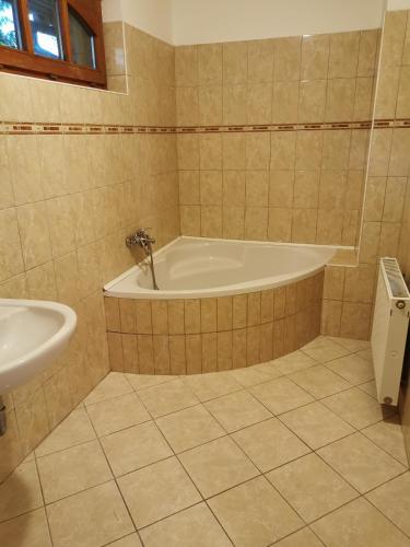 a bathroom with a bath tub and a sink at Váralja Vendégház Tata in Tata