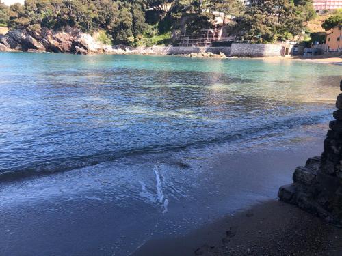 a beach with a body of water with trees and buildings at Il Delfino in Tellaro