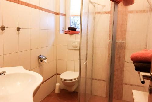 a bathroom with a toilet and a sink and a shower at Numero1-Pension und Cafe in Rübeland