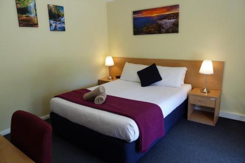 Un pat sau paturi într-o cameră la Sky Rider Motor Inn