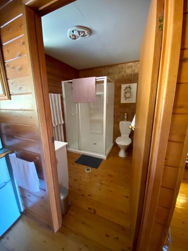 a bathroom with a toilet and a shower in it at Sabo’s On Severn in Fletcher