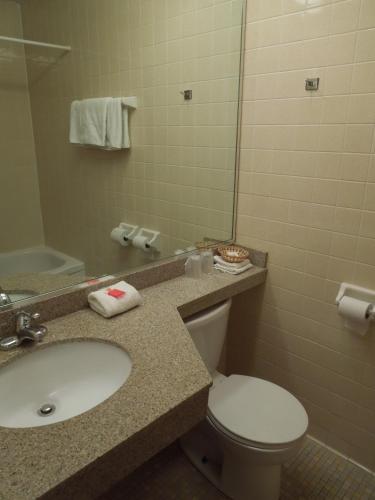a bathroom with a sink and a toilet and a mirror at Red Carpet Inn Syracuse Airport in North Syracuse