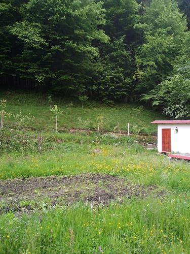 a field with a small house in the middle of it at Casa Ozon in Vulcan