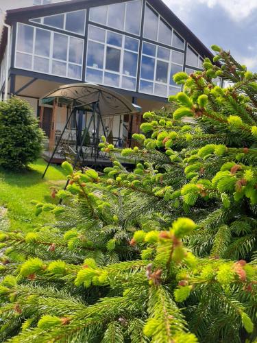Zahrada ubytování Guest House U Sester