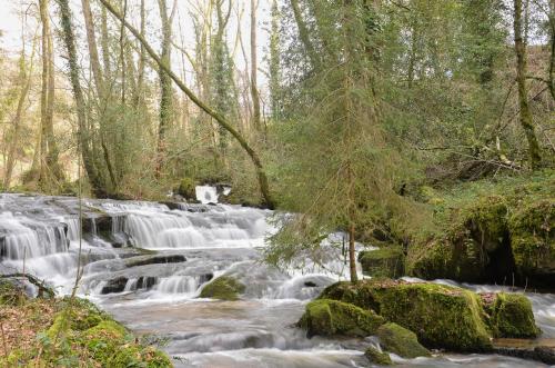 a waterfall in the woods next to a river at Studio aux Sources de la Chabanne in Saint-Hilaire-les-Courbes