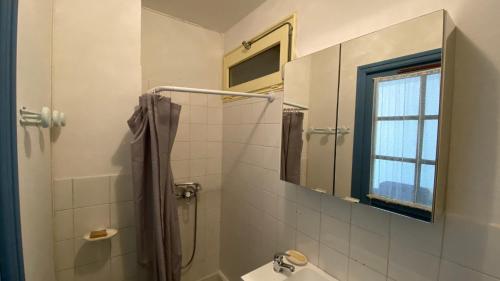 y baño con ducha, lavabo y espejo. en Studio aux Sources de la Chabanne, en Saint-Hilaire-les-Courbes