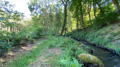 a path through a forest next to a stream at Studio aux Sources de la Chabanne in Saint-Hilaire-les-Courbes