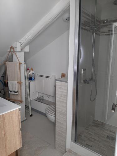 een badkamer met een douche en een toilet bij appartcathedrale in Écrouves