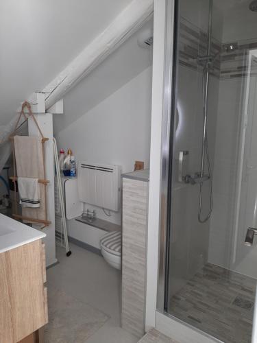 a bathroom with a shower and a toilet at appartcathedrale in Écrouves