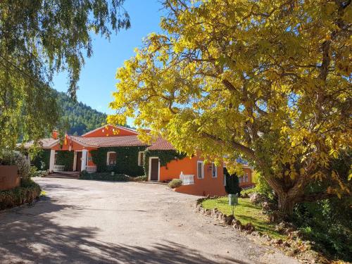 a house with a tree in front of a driveway at Hospedium Hotel Val de Pinares in Bogarra