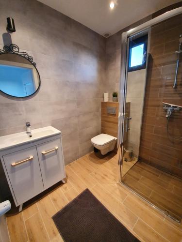 a bathroom with a shower and a toilet and a sink at Domki Białe Żagle in Władysławowo