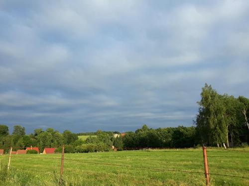 a field with a fence and trees in the background at Agroturystyka Nad strumykiem in Leśna