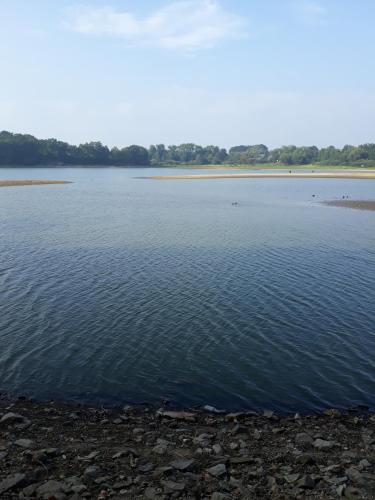 a large body of water with trees in the background at Agroturystyka Nad strumykiem in Leśna