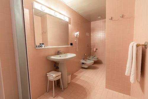 a bathroom with a sink and a toilet and a mirror at Hotel Diana in Valdobbiadene