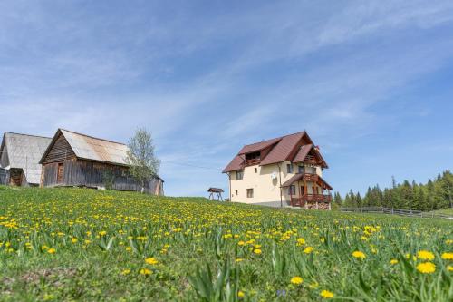 a house on a hill with a field of flowers at Cabana Poiana Dealul Frumos in Gîrda de Sus