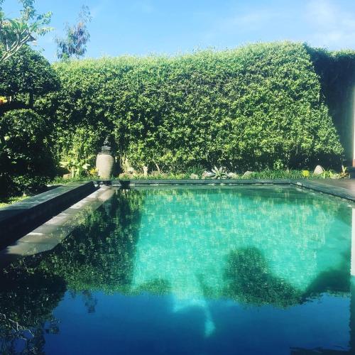 a swimming pool with blue water and trees at Ubud Paradise Villa in Ubud