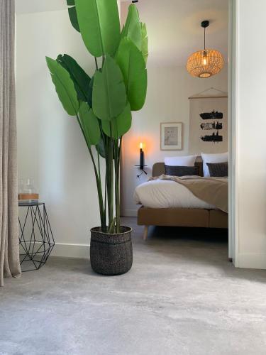 um quarto com um vaso de plantas e uma cama em Utrecht City Apartments - Maliesingel em Utrecht