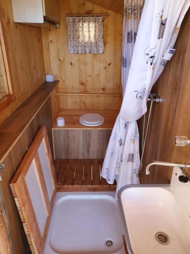 a small bathroom with a toilet and a sink at Glamping Apartment Oasis of peace in Preddvor