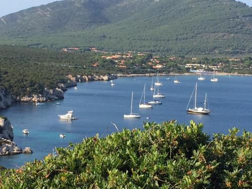 Φυσικό τοπίο κοντά σε αυτό το διαμέρισμα
