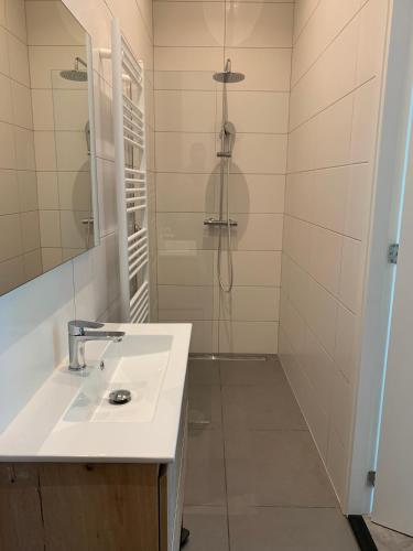 y baño con lavabo y ducha. en Utrecht City Apartments - Maliesingel, en Utrecht